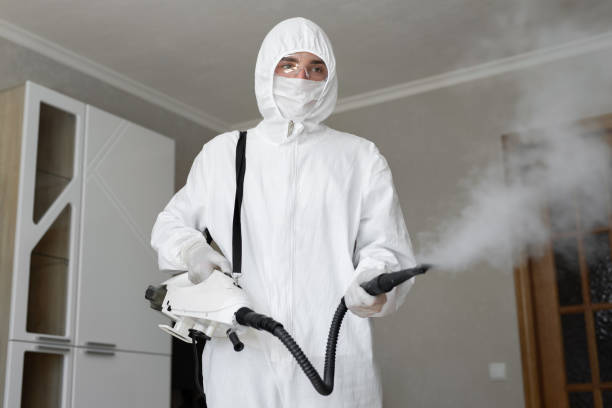 Best Environmental Consulting for Mold Prevention in USA